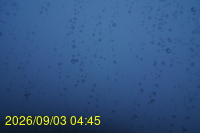 Img20260903_044506.jpg