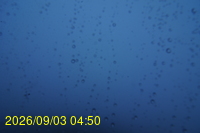 Img20260903_045006.jpg