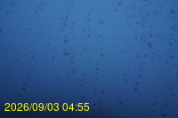 Img20260903_045506.jpg