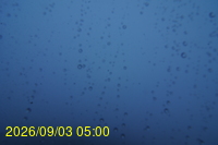 Img20260903_050006.jpg