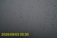 Img20260903_053006.jpg