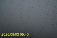 Img20260903_054006.jpg