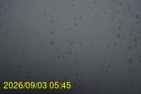Img20260903_054506.jpg