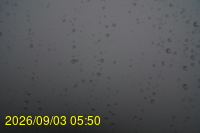 Img20260903_055006.jpg