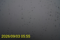 Img20260903_055506.jpg