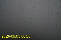 Img20260903_060006.jpg