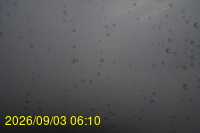 Img20260903_061006.jpg