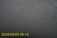 Img20260903_061506.jpg