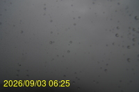 Img20260903_062506.jpg