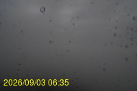 Img20260903_063506.jpg