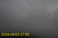 Img20260903_070507.jpg