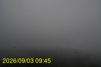 Img20260903_094507.jpg