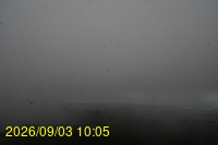 Img20260903_100507.jpg