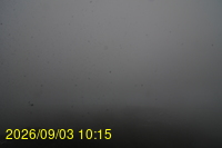 Img20260903_101507.jpg