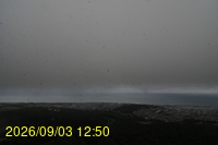 Img20260903_125008.jpg