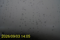 Img20260903_140508.jpg