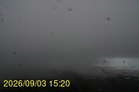 Img20260903_152008.jpg