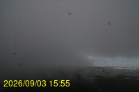 Img20260903_155508.jpg