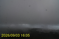 Img20260903_160508.jpg