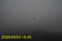 Img20260903_164508.jpg