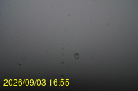 Img20260903_165508.jpg