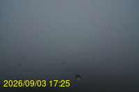 Img20260903_172508.jpg