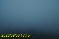 Img20260903_174509.jpg