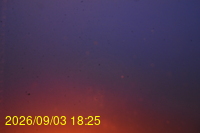 Img20260903_182509.jpg