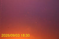 Img20260903_183009.jpg