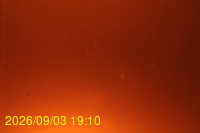 Img20260903_191009.jpg