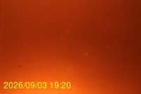 Img20260903_192009.jpg