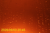 Img20260903_204509.jpg