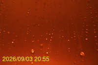 Img20260903_205509.jpg