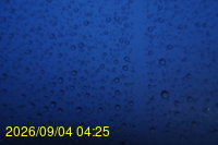 Img20260904_042511.jpg