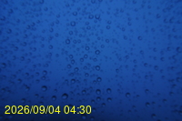 Img20260904_043011.jpg