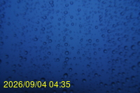 Img20260904_043511.jpg