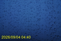 Img20260904_044011.jpg