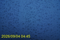 Img20260904_044511.jpg