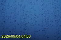 Img20260904_045011.jpg