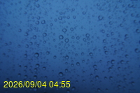 Img20260904_045511.jpg