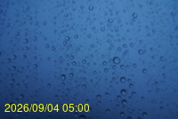 Img20260904_050011.jpg