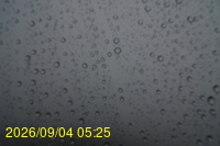 Img20260904_052511.jpg