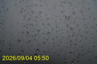 Img20260904_055011.jpg