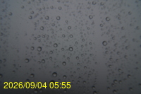 Img20260904_055511.jpg