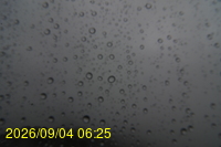 Img20260904_062511.jpg