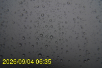 Img20260904_063511.jpg