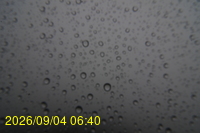 Img20260904_064011.jpg