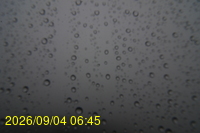 Img20260904_064511.jpg