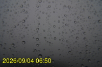 Img20260904_065011.jpg