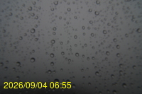 Img20260904_065511.jpg